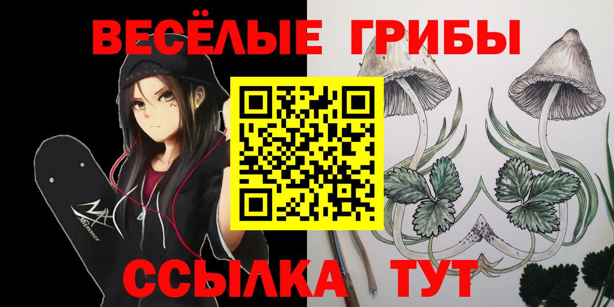 Псилоцибиновые грибы прущие грибы Сосновый Бор
