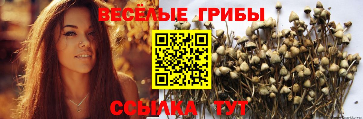 Псилоцибиновые грибы MAGIC MUSHROOMS  Вход с VPN  Сосновый Бор  Галлюциногенные грибы ЛСД 