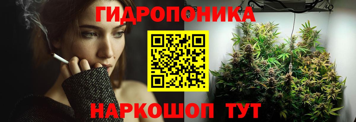 Шишки марихуана планчик  Бошки Шишки AK-47  Сосновый Бор  Вход с VPN  Бошки марихуана гибрид  Каннабис гибрид 
